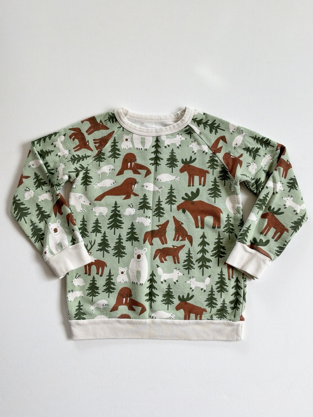 Winter Water Factory Green Forest Animal Sweatshirt